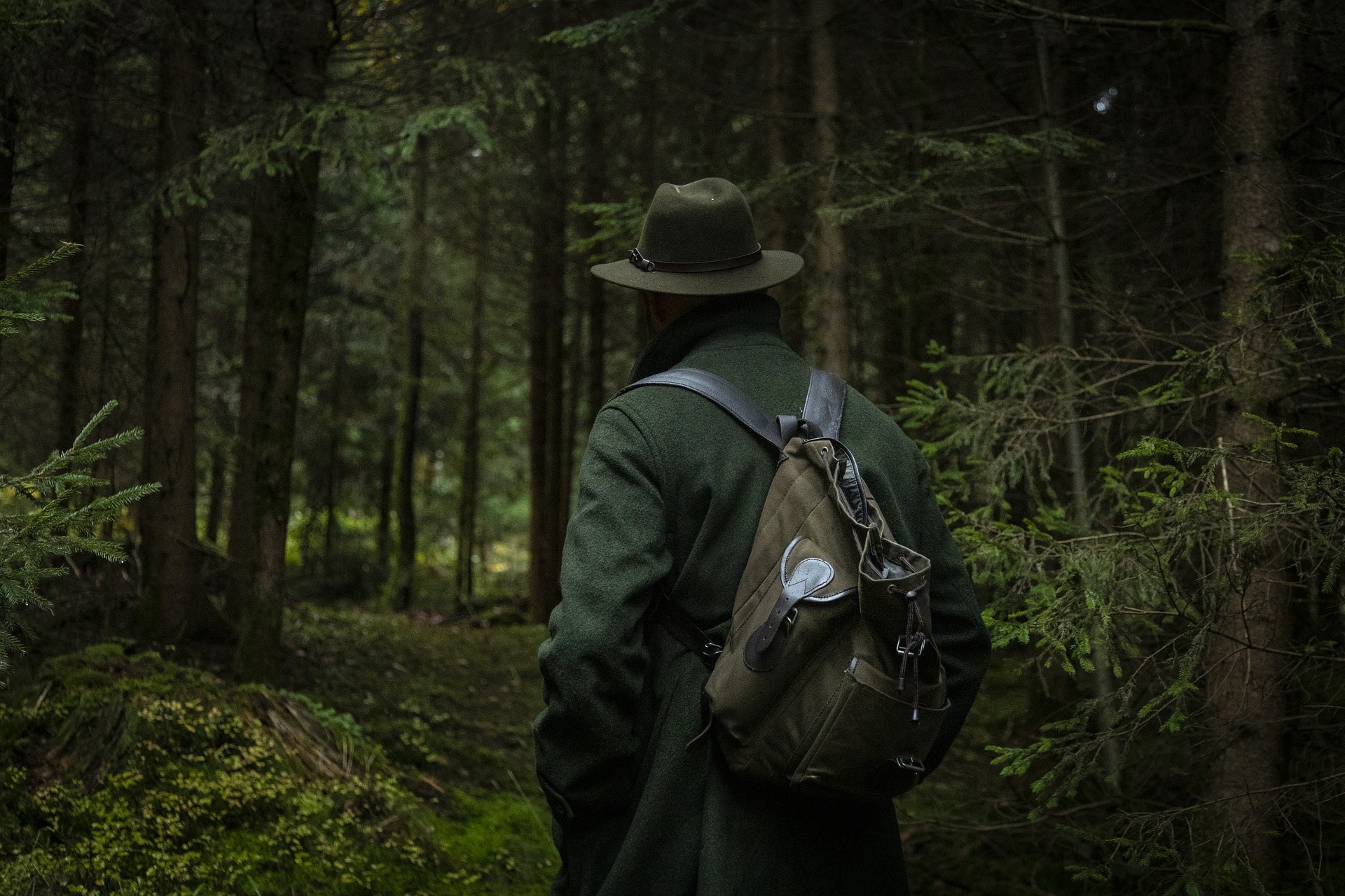 HUNTING TIPS FOR BEGINNERS - Collection of Resources