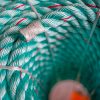 Green-Red-Flecks-Polysteel-Rope-coil-end