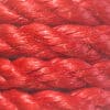 12mm-red-polyp-closeup