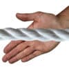20mm-white-polyp-hand
