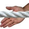 24mm-white-polyp-hand