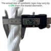 28mm-white-polyp-caliper