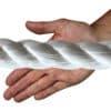 32mm-white-polyp-hand