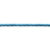 6mm-blue-polyp