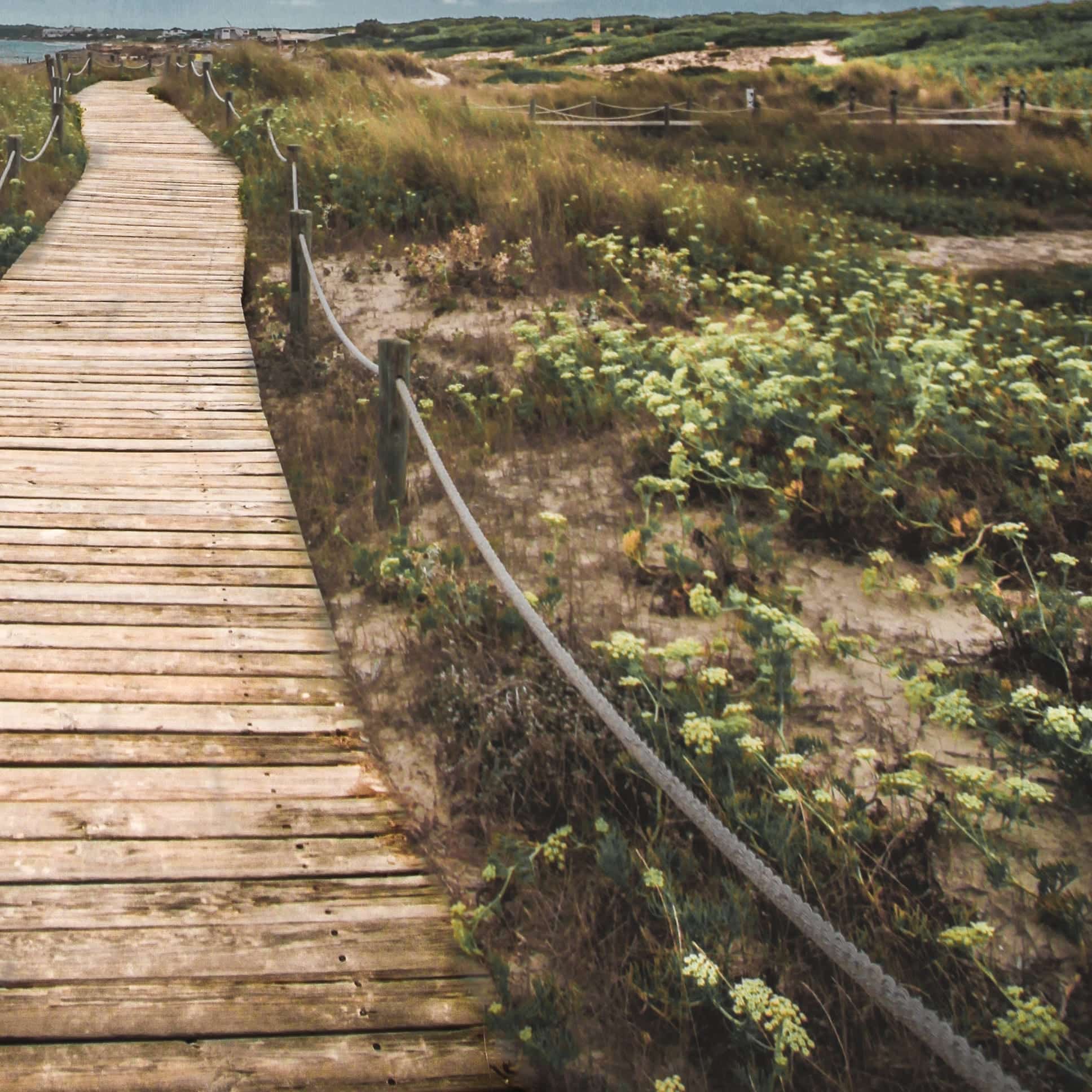 Decking Rope & Balustrade (20mm 40mm) Buy Rope