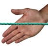 6mm-green-polyp-hand