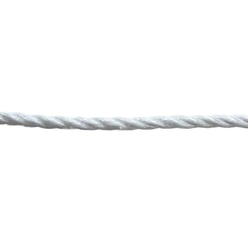 6mm-white-polyp