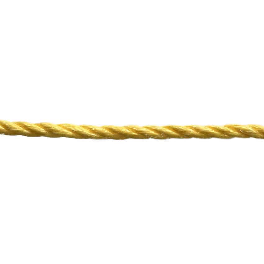 6mm-yellow-polyp
