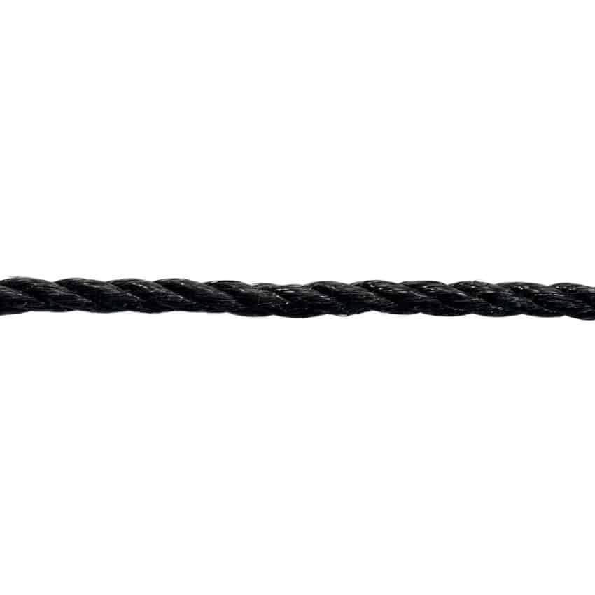 8mm-black-polyp