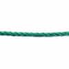 8mm-green-polyp