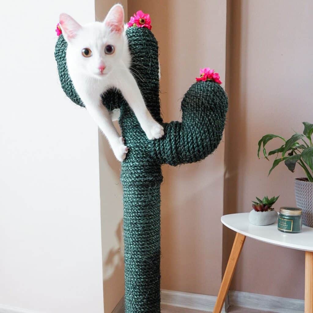 cat-toy-diy