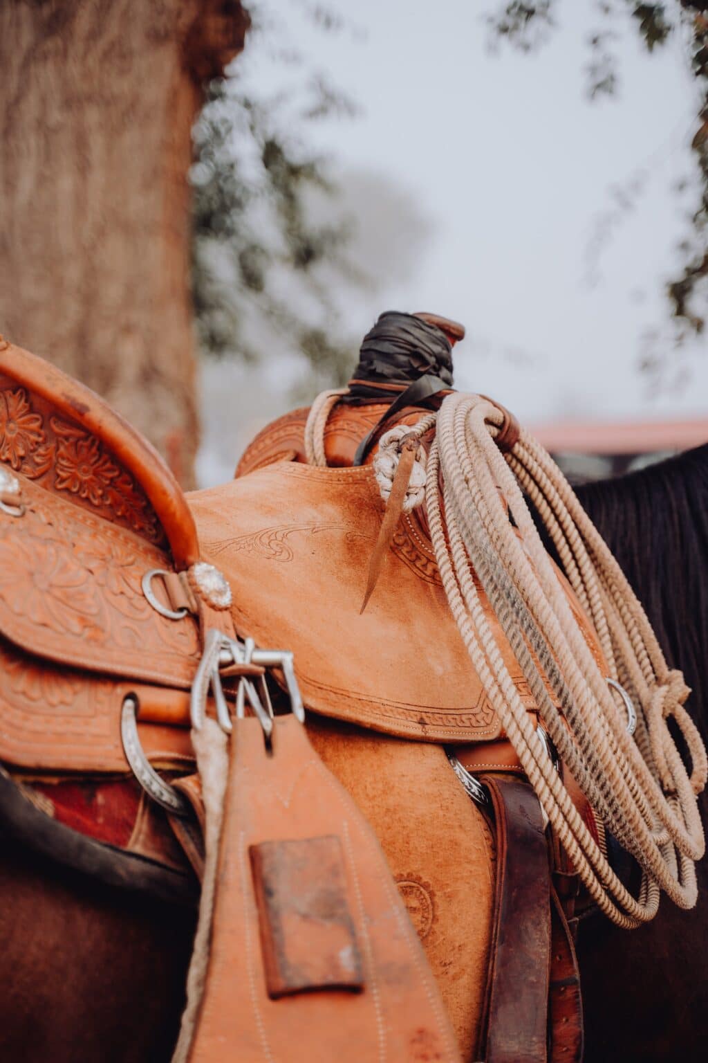 horse-rope
