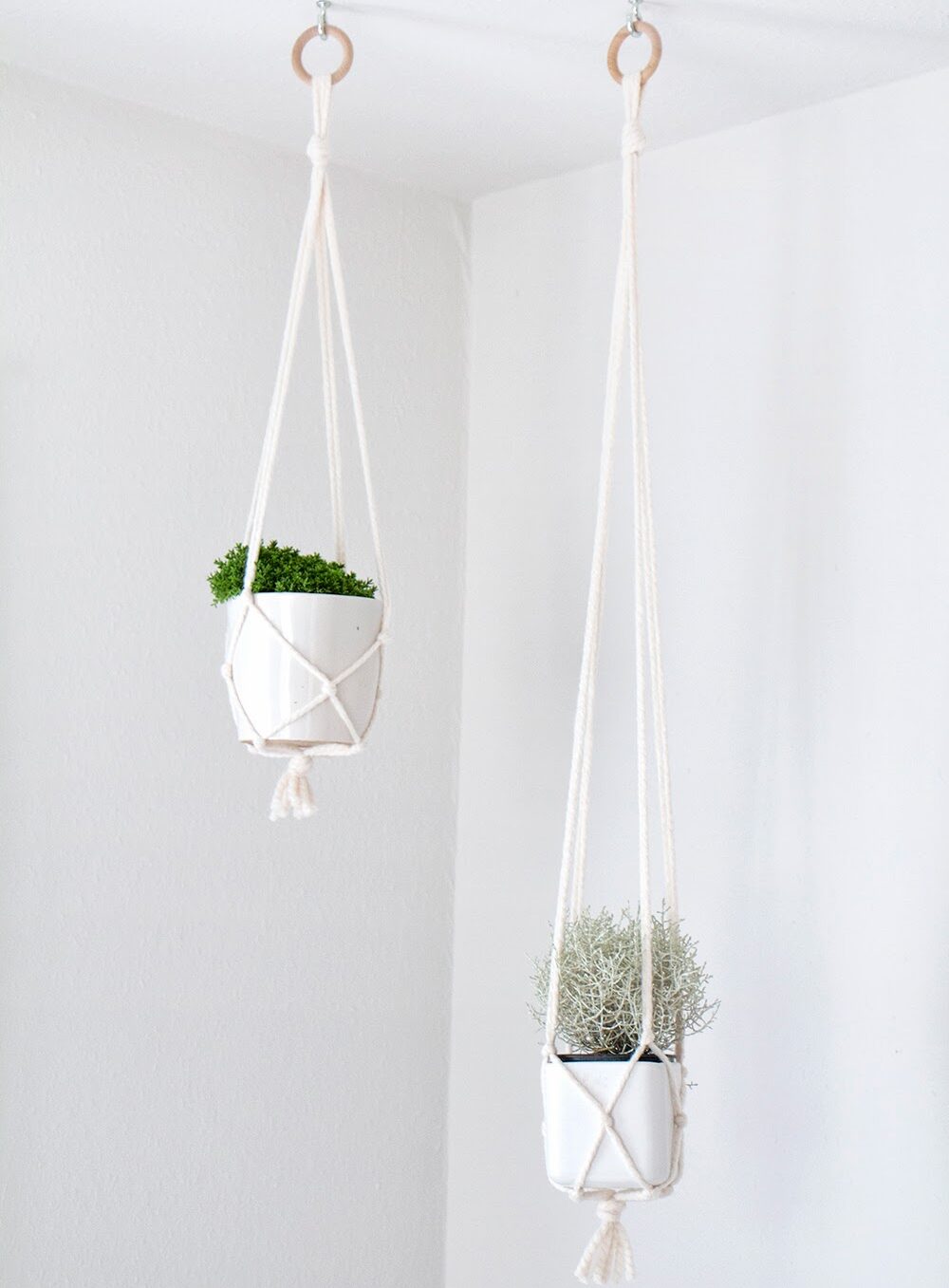 rope-plant-hanger