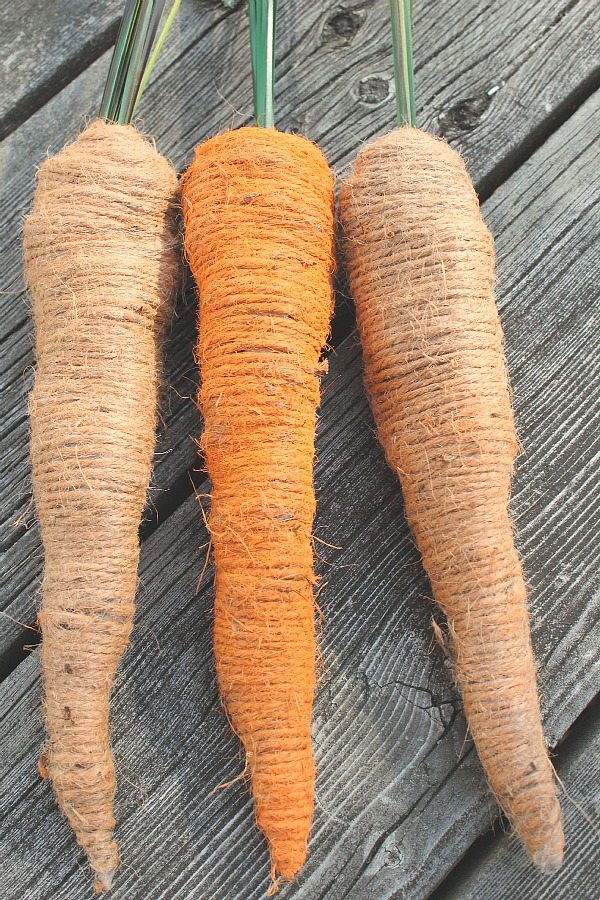 rope-carrots