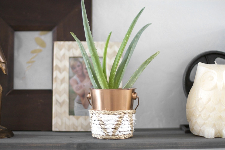 rope-planter