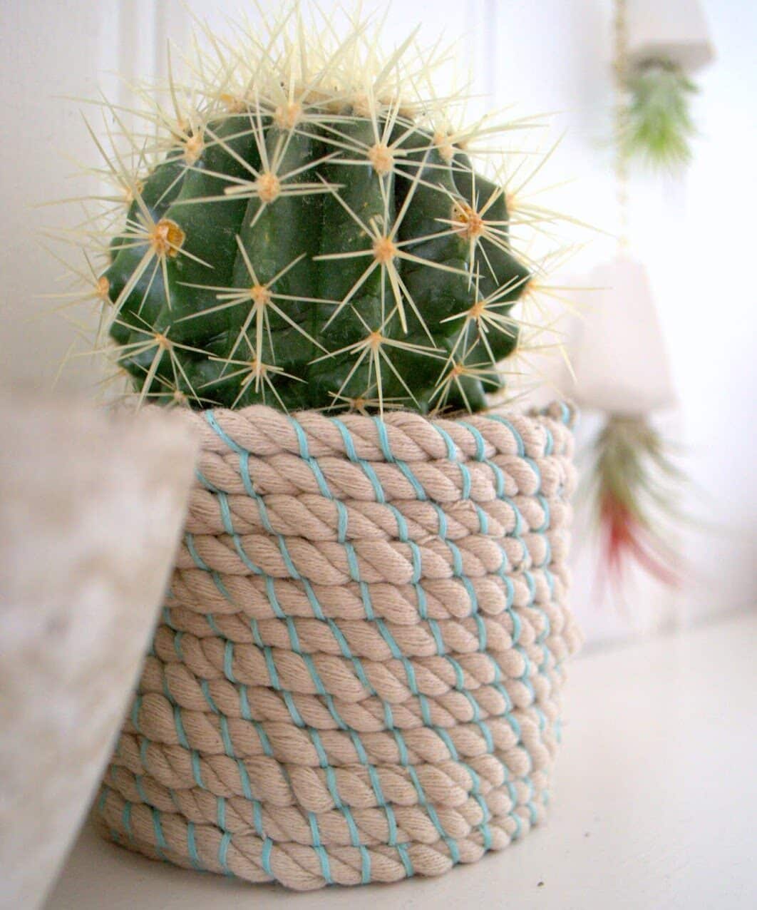 rope-planter