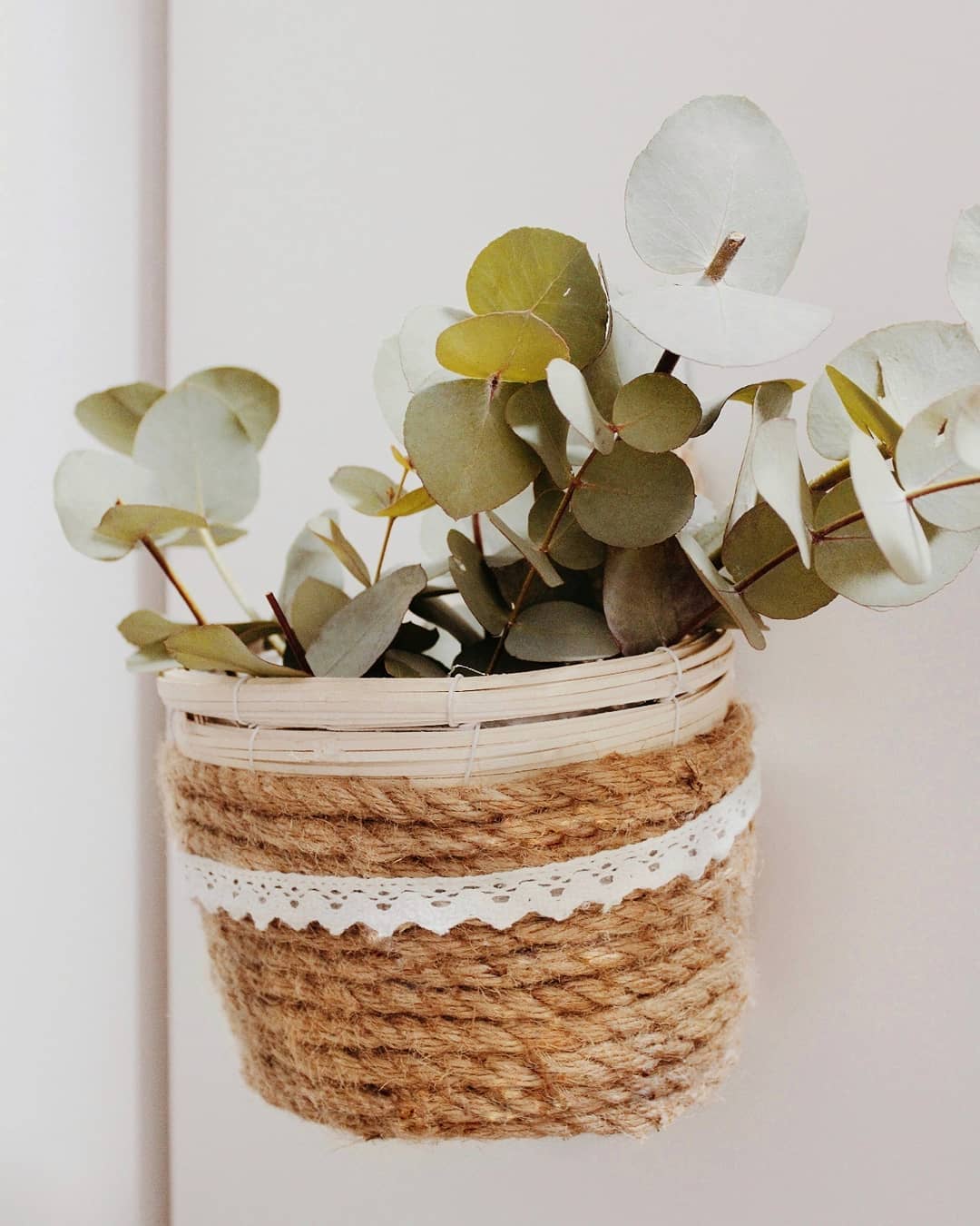 rope-planter