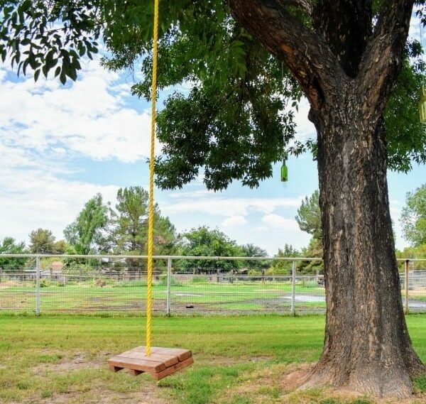 rope-swing