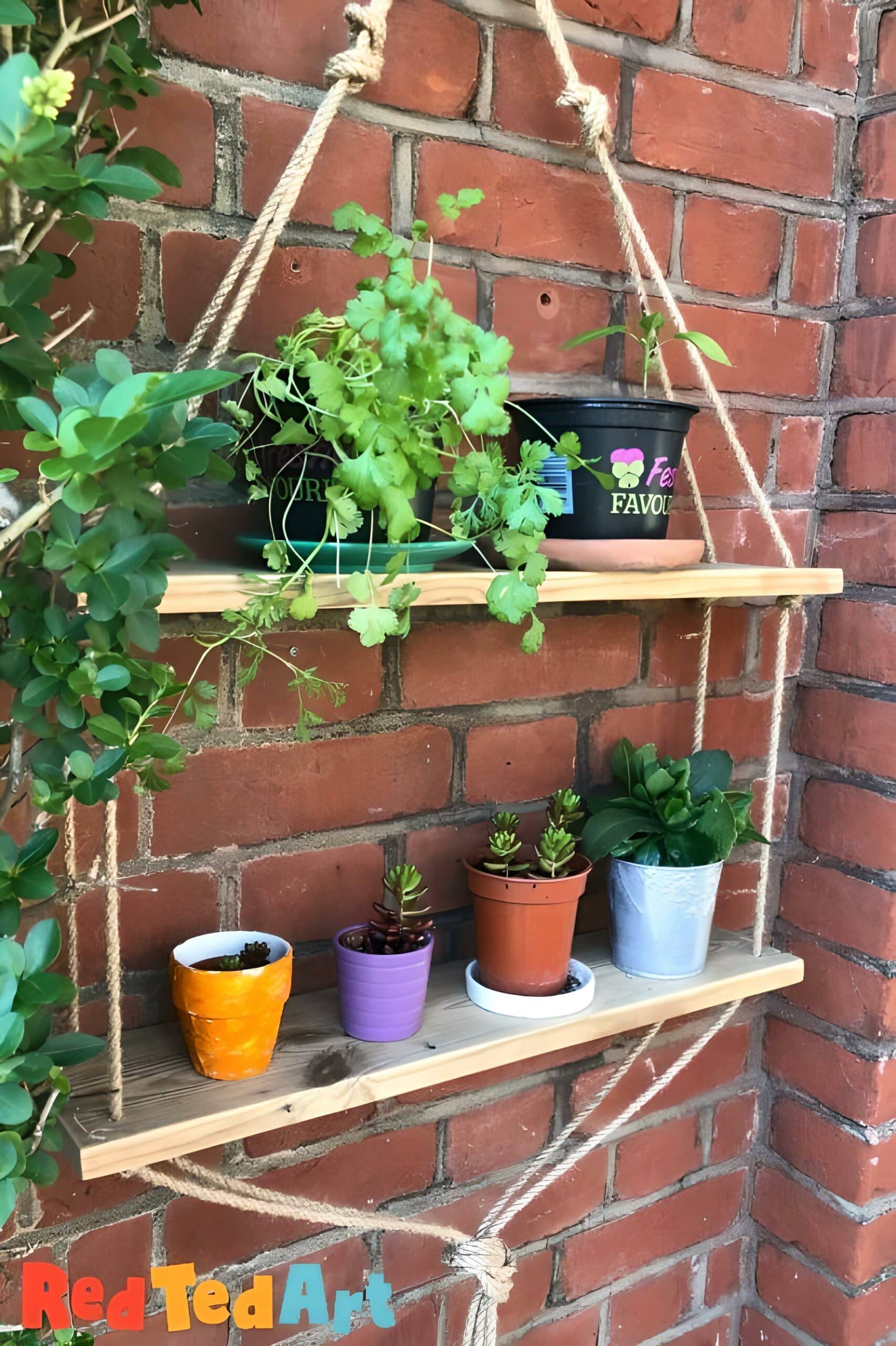 rope-shelf