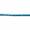 8mm-blue-polyp