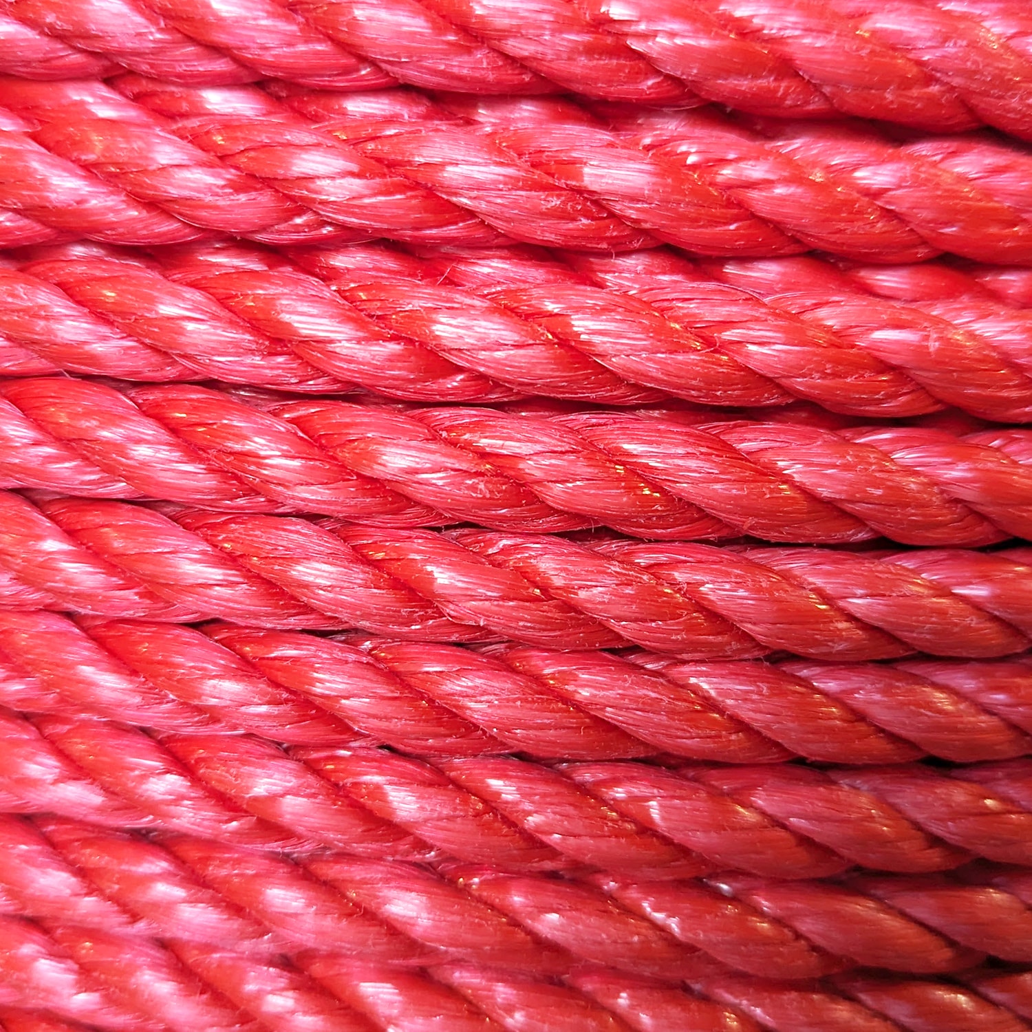 Red Rope